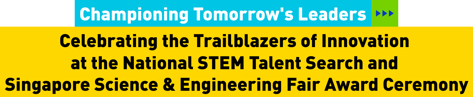 National STEM Talent Search Title